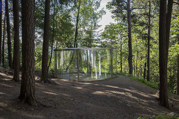 glass in forest
